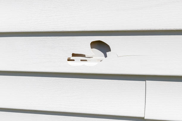 How To Choose The Right Materials for Your Siding Installation in 'Powderly, TX