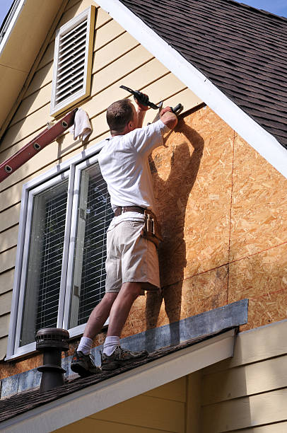 Best Siding Repair  in Powderly, TX